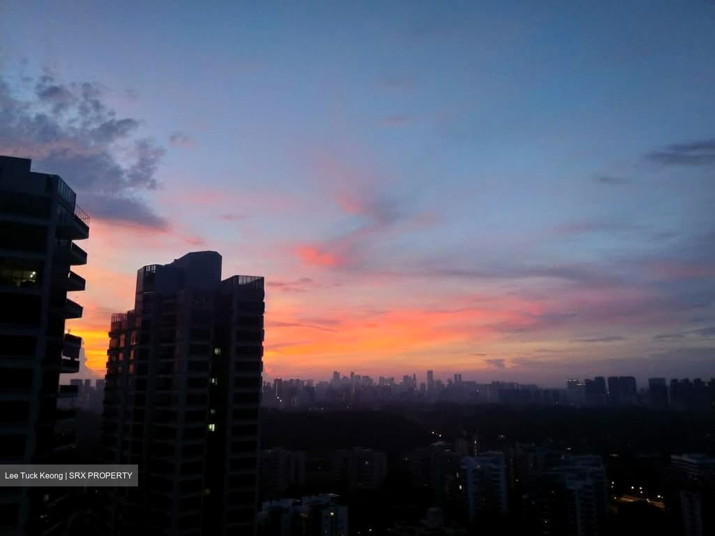 D'Leedon (D10), Condominium #578675831